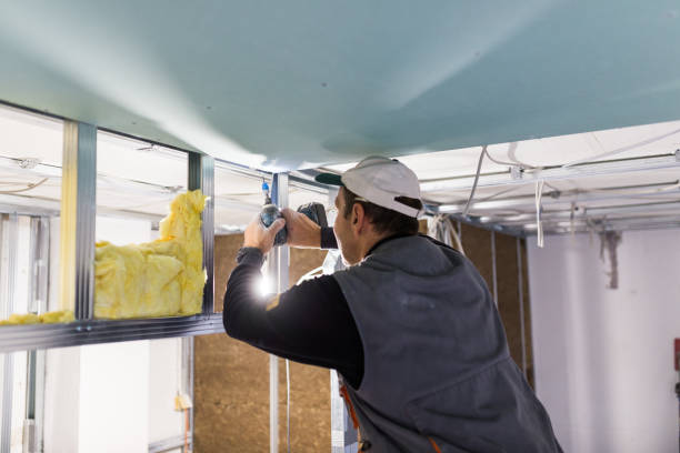 Best Commercial Insulation in Villa Park, CA