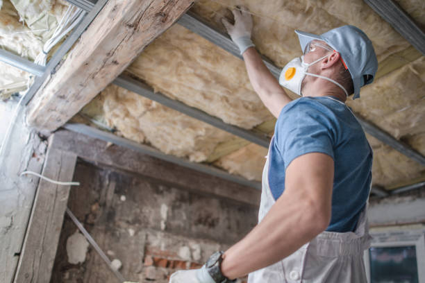 Best Insulation Materials and Products in Villa Park, CA